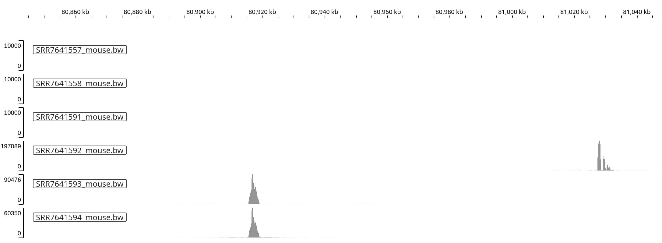 Mouse genome (Chr2 region)